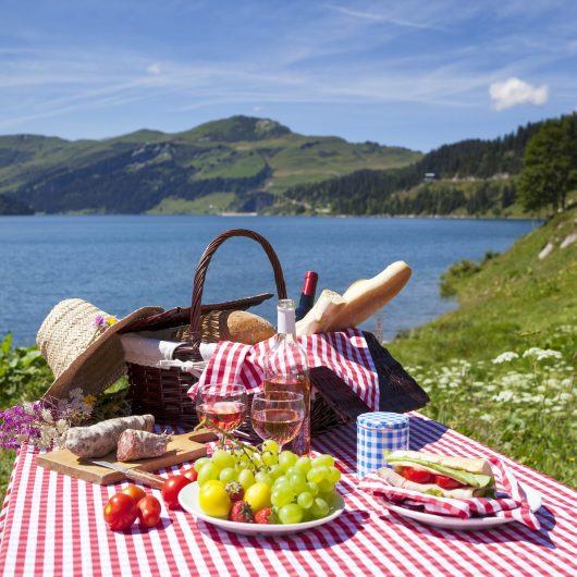 view-picnic-french-alpine-mountains