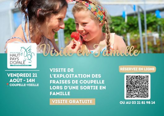 visite-fraises-de-coupelle