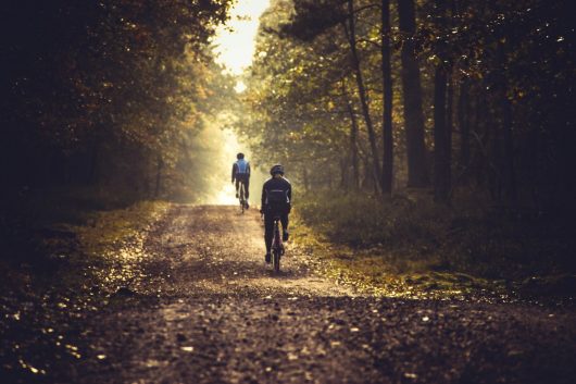 vtt-pixabay-3